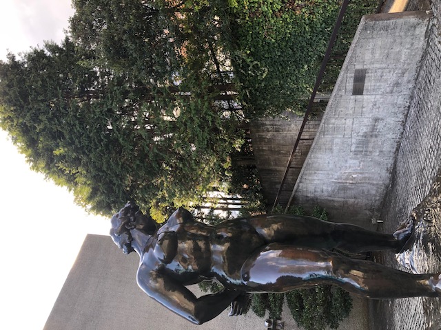 彫刻の森美術館