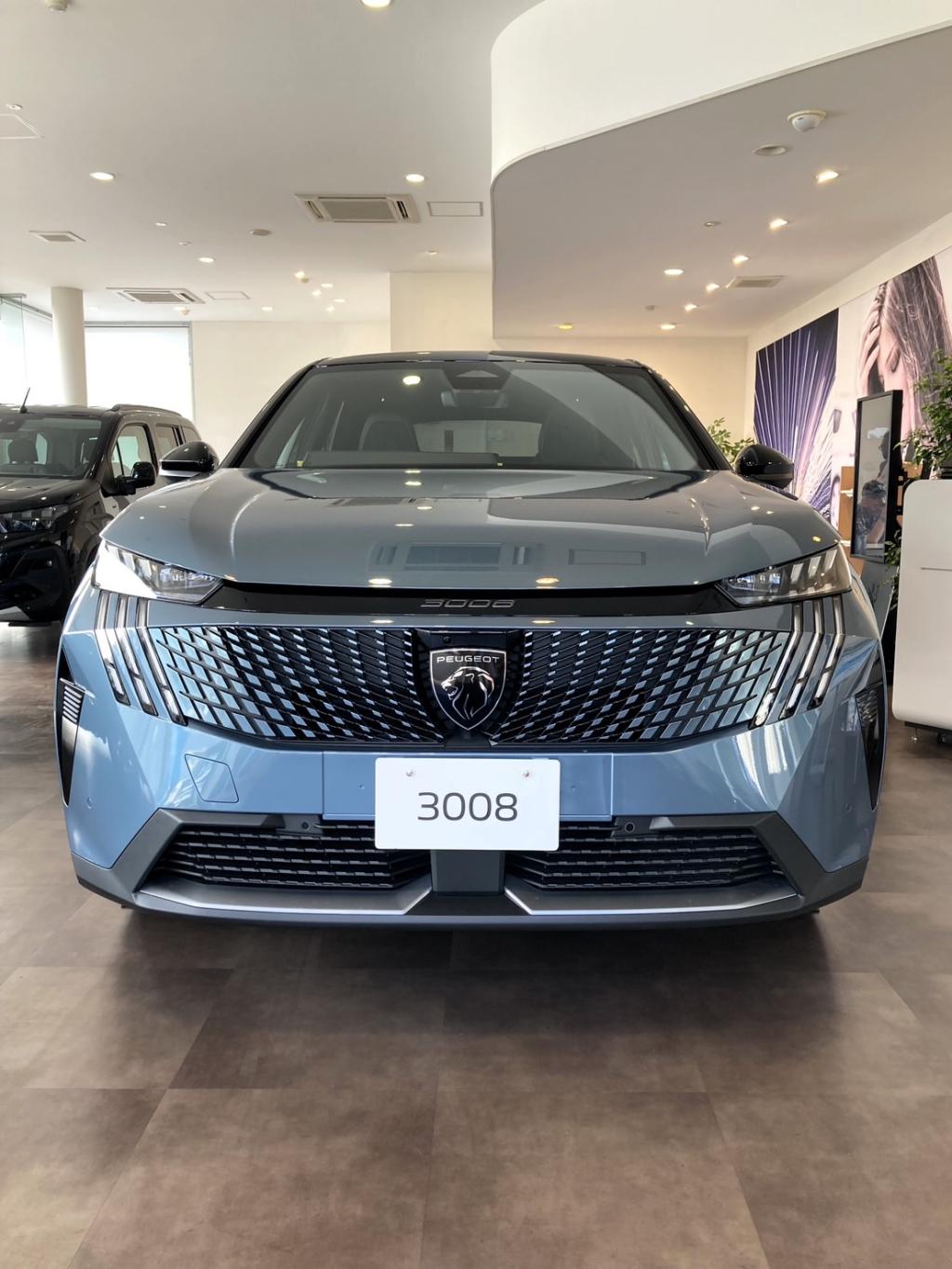 ✨new3008✨