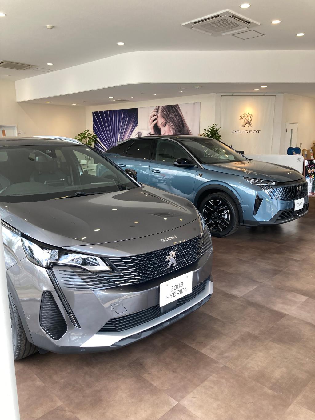 Which 3008 would you prefer☺？？