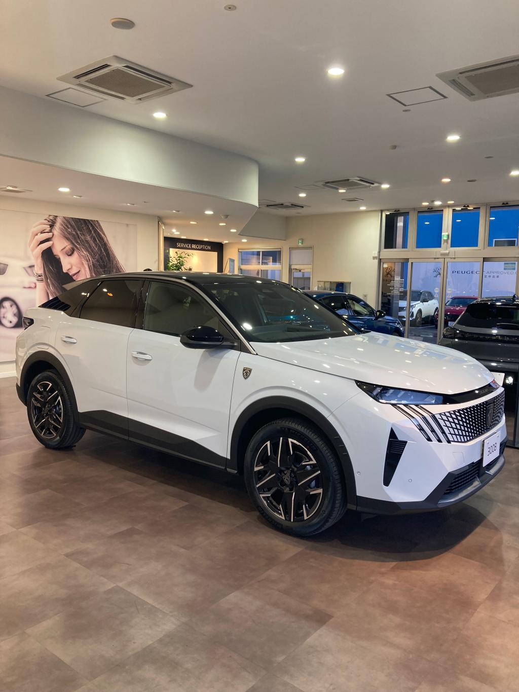 展示車ご案内